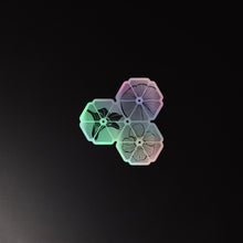 Load image into Gallery viewer, Nasturtium Dream Holographic Sticker
